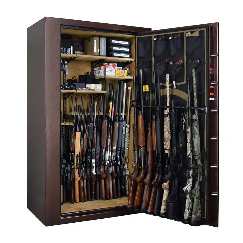 RW49T-Interior-wGuns-800.png